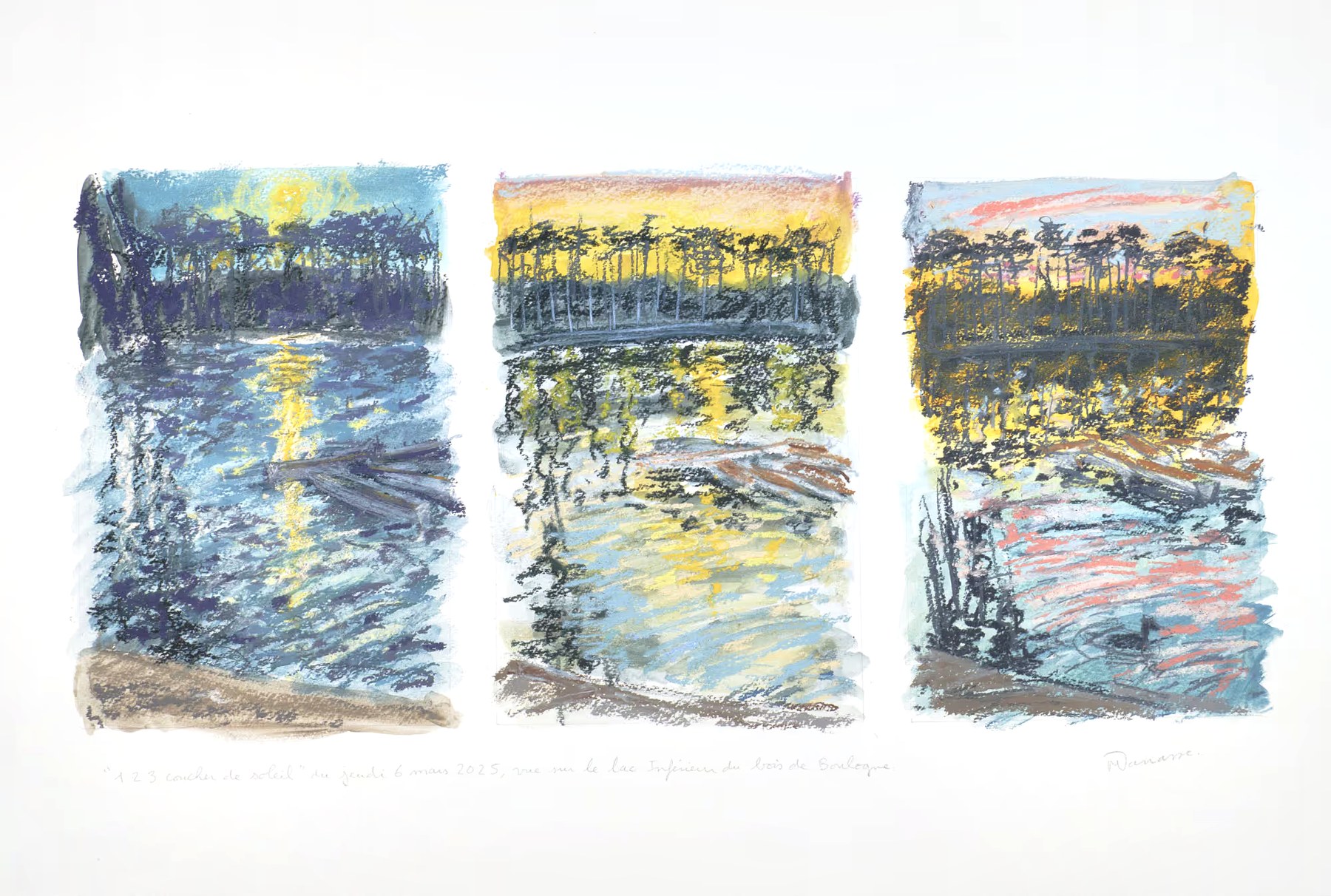 Triptyque pastel sec, vue sur le lac Inférieur du bois de Boulogne, Jeudi 6 mars 2025, Matthieu Darrasse